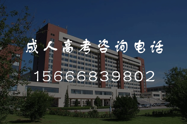 【成人高考】高起点/专升本英语：阅读抄