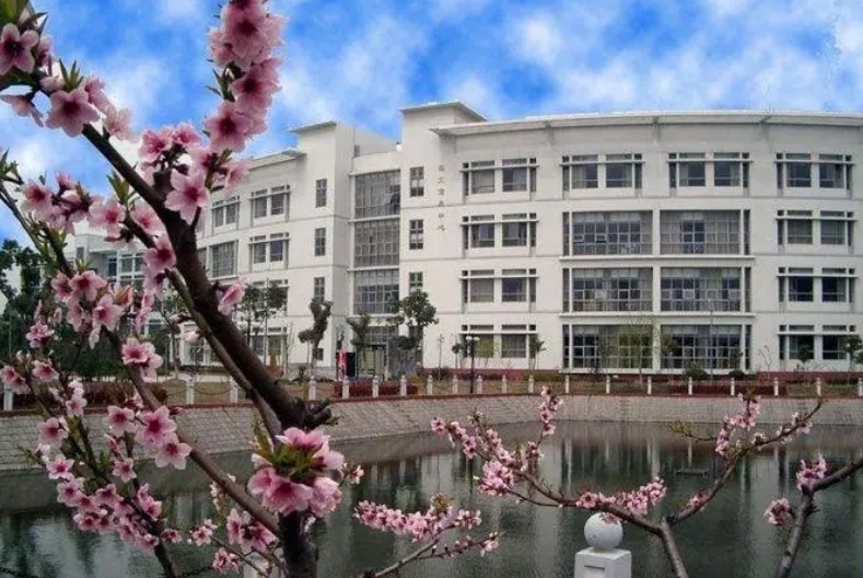 办公室展示三