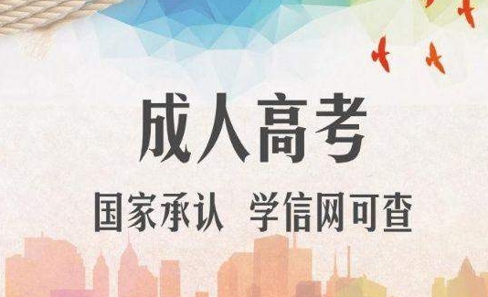 2024年济宁成考专升本报考流程